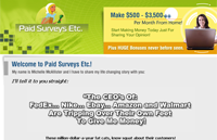 Paid Surveys Etc.